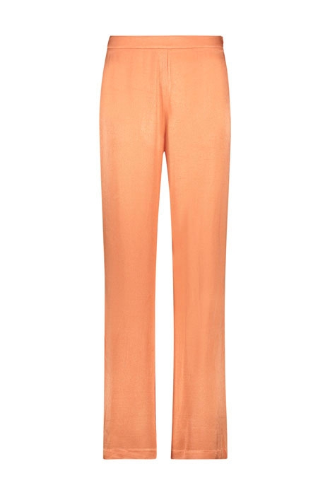 SEARLE VIS 543 CANTALOUPE 1