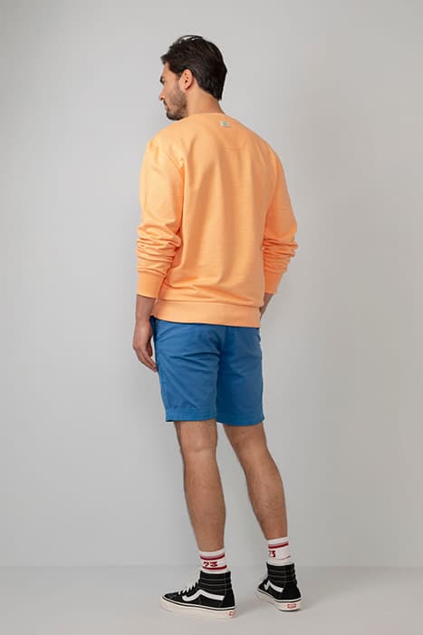 Lazy Image
