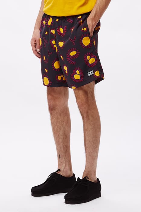 Lazy Image