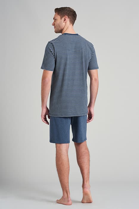 Lazy Image